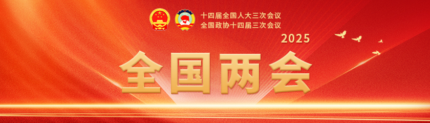 2025年全国两会