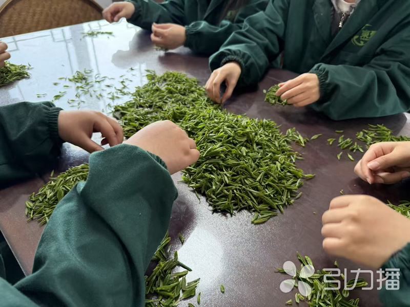 News-item-image20250326093023