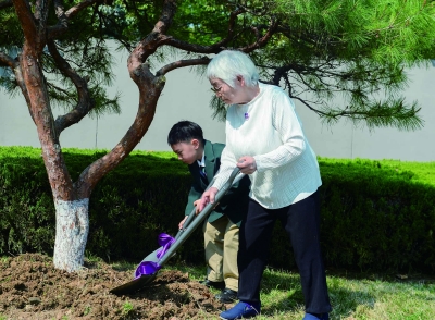 3月26日，日本紫金草合唱团到访侵华日军南京大屠杀遇难同胞纪念馆。在紫金草花园，合唱团荣誉团长大门高子与紫金草童声合唱团年纪最小的成员何泉杰一道，种下一棵和平音乐树。 南京日报/紫金山新闻记者 孙中元 摄