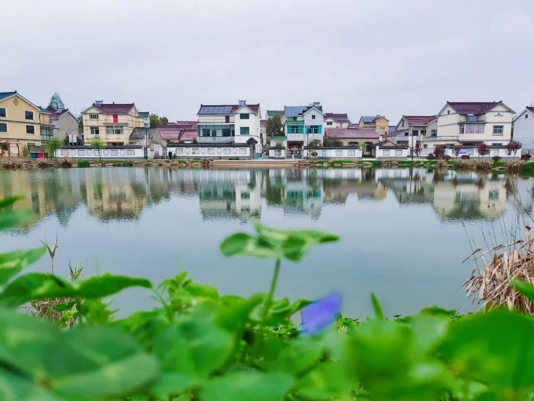 南京市高淳区东坝街道