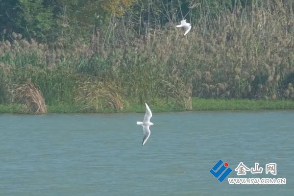 01815e4c80fefd6d96cd31d44bd663492c.jpg@iAtsdVKCEZ1bhPGmRXeFprtOPWm1nPLvG6R48nBj8Fo@rs_fill_720_0@g_sm@q_75@