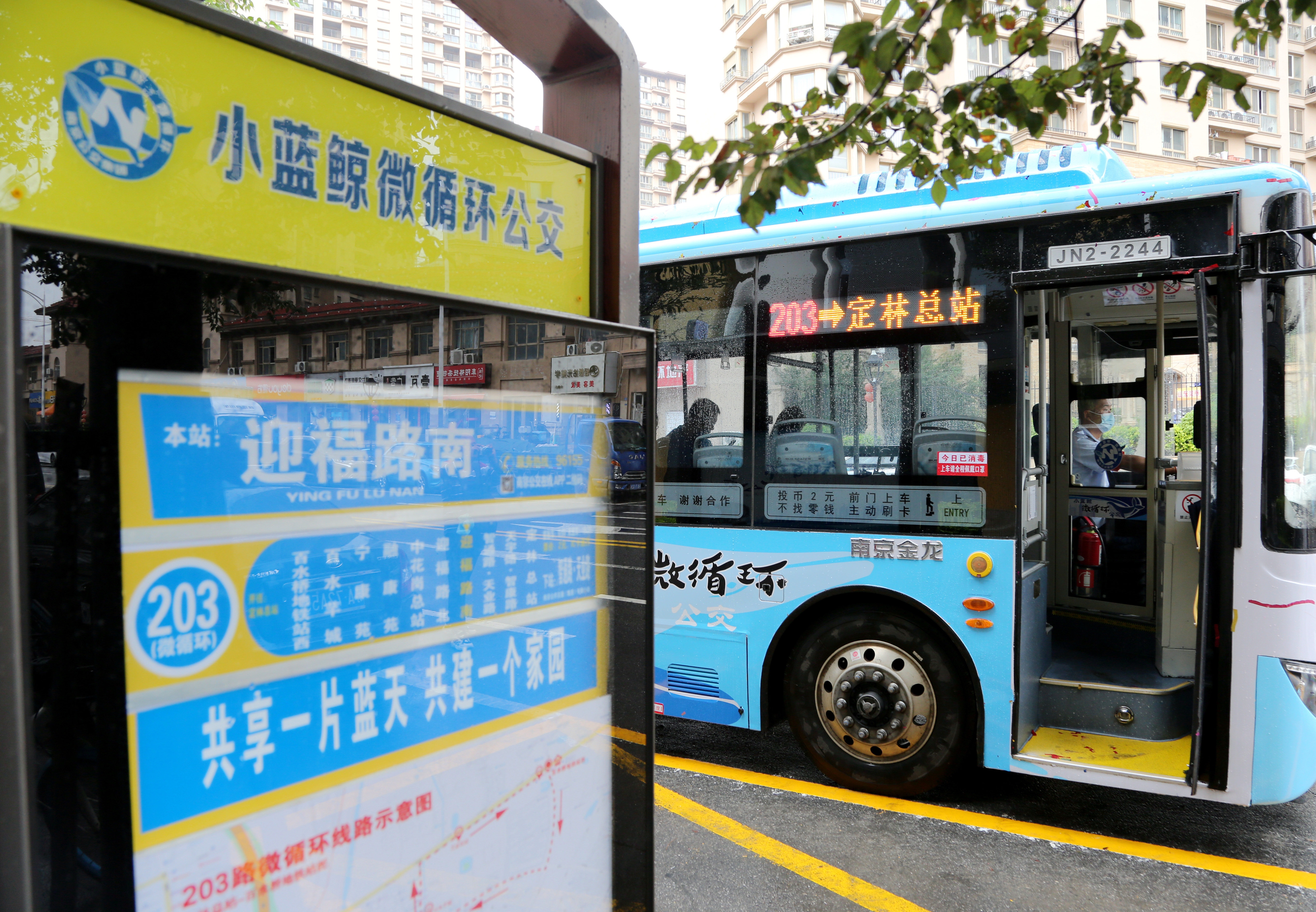 南京公交203路微循环线路 通讯员 裴晓燕 南京日报/紫金山新闻记者 徐琦摄