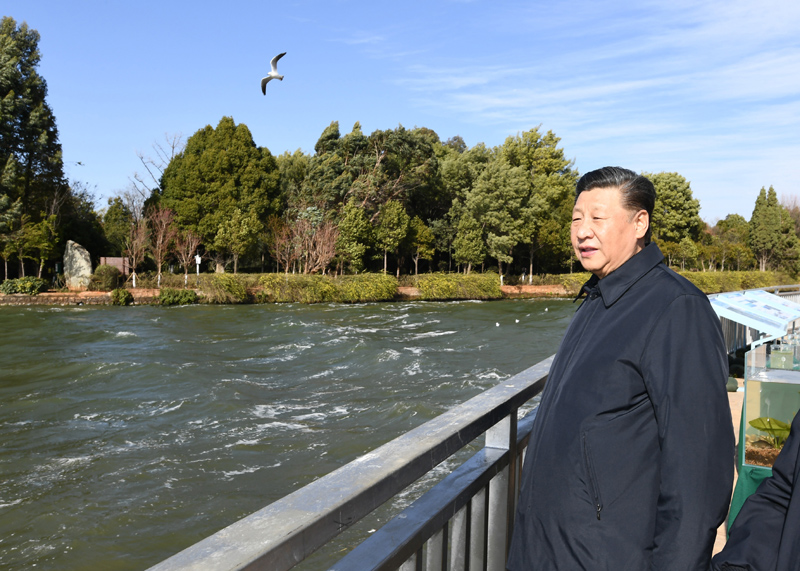 2020年1月20日下午,习近平总书记在云南昆明滇池星海半岛生态湿地考察调研。
