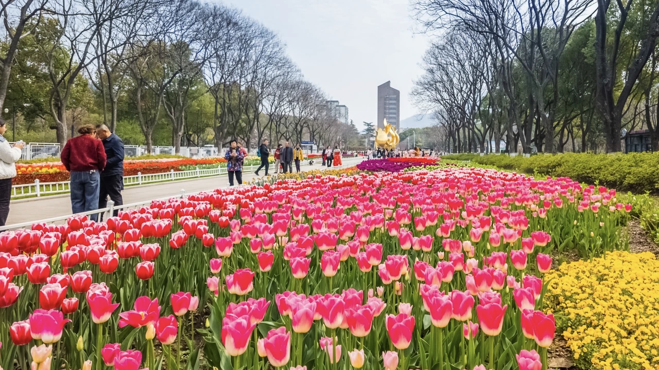 南京日报/紫金山新闻记者 孙中元摄
