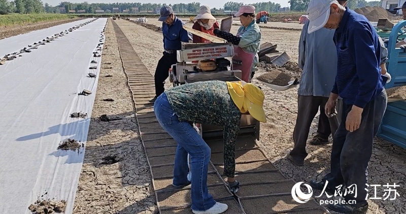 5月中旬,青沟村糯稻种植户开始育秧工作。人民网 崔小倩摄