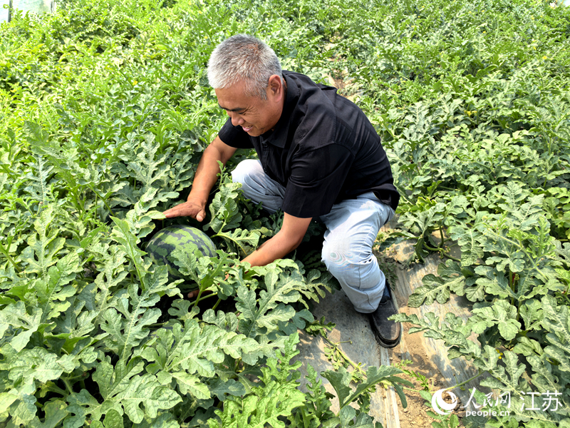 瓜农曹生阳向记者展示自家种植的西瓜。人民网 崔小倩摄